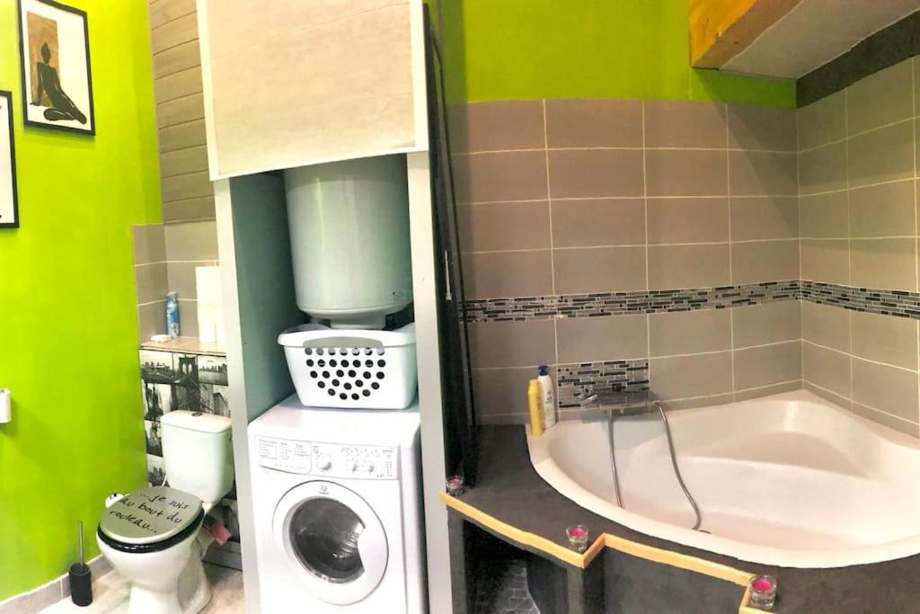 Duplex Atypique 20' De Toulouse Apartment Leguevin Екстериор снимка